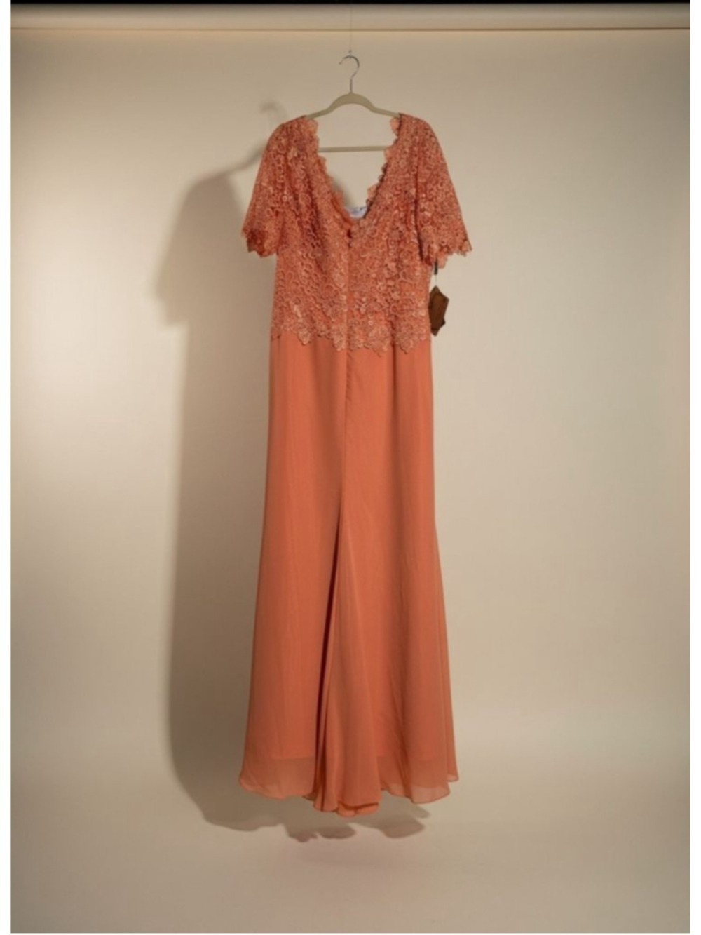 JENJENHOUSE Watermelon Lace Maxi Dress Plus Size 26W - Picture 8 of 10